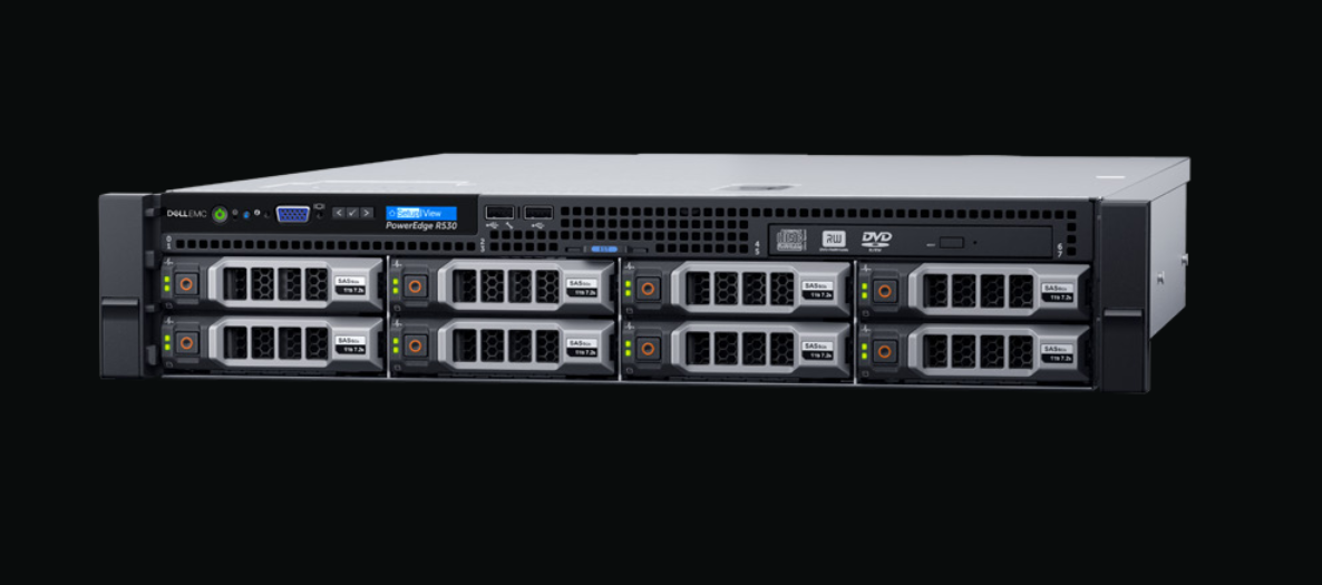 Dell R5300 G4X Server